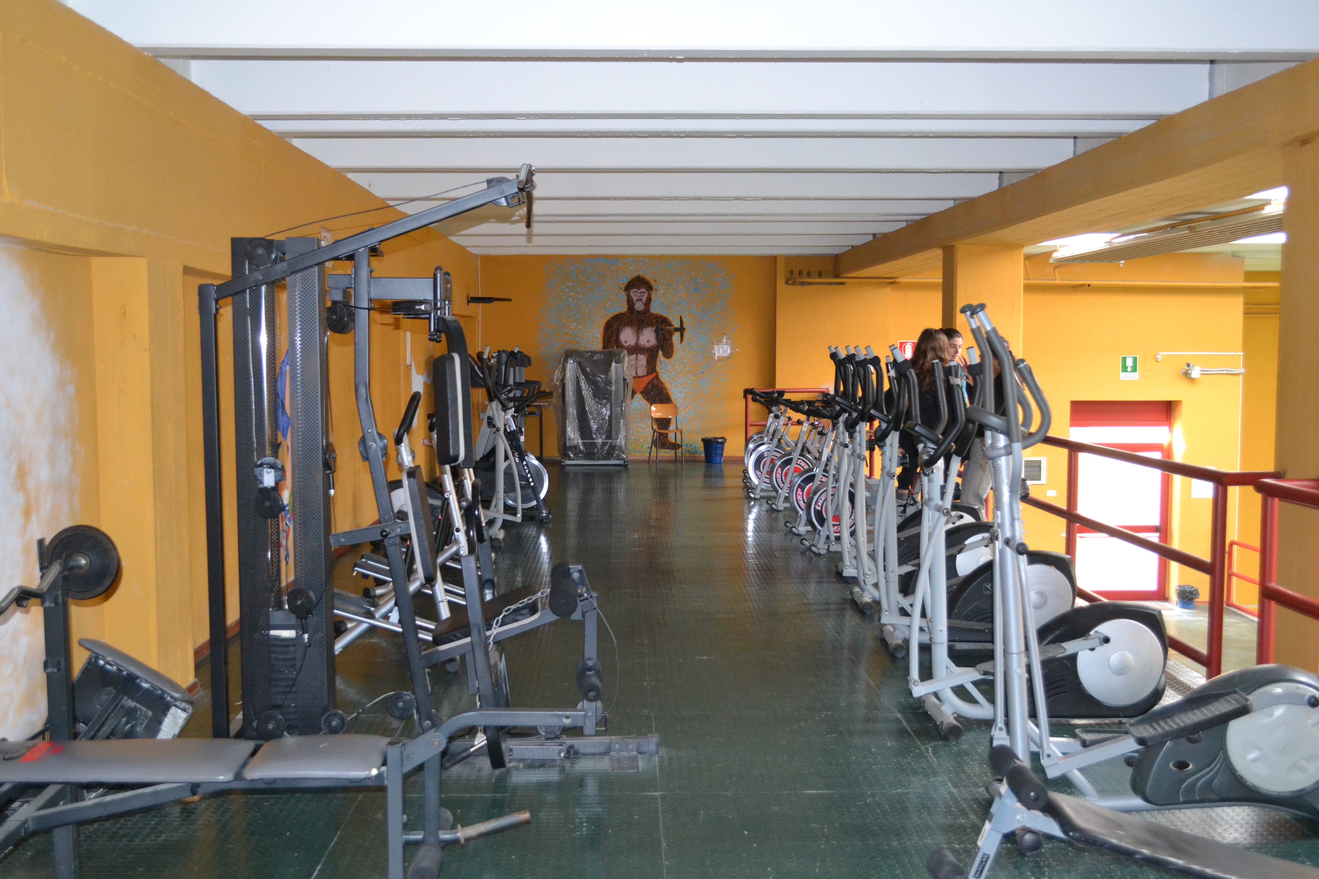 palestra