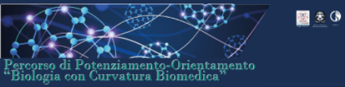 FotoBannerCurvaturaBiomedica